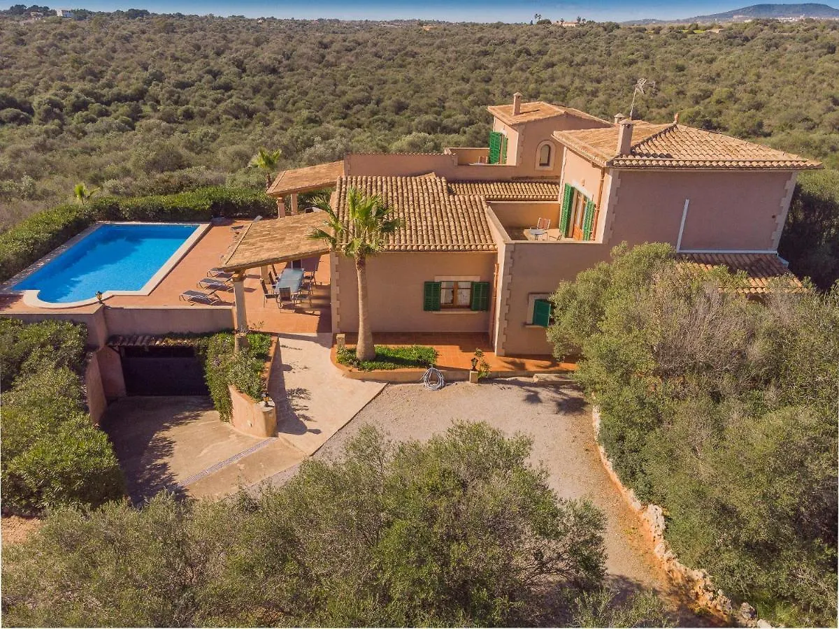 Finca Pleta De Sa Punta Portopetro 0*,  스페인